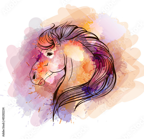 Watercolor horse head