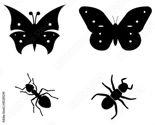 Papillons et fourmis en 4 icônes © Atlantis