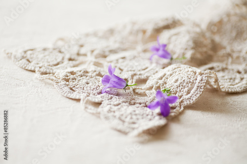 Spring Flowers, Campanula, on Crocheted Doily