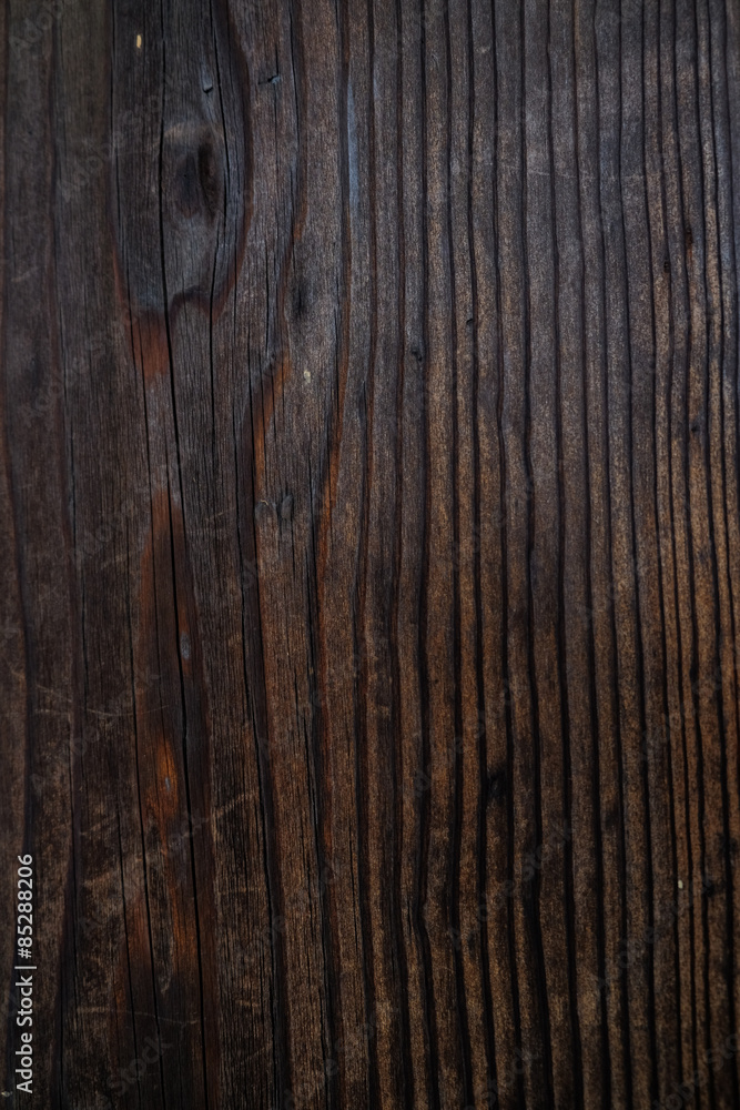 Obraz premium Tree bark texture