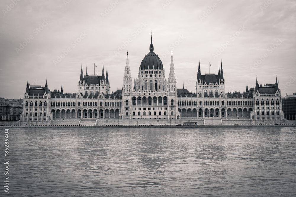 Obraz premium Hungarian Parliament Building