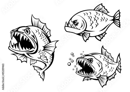 Angry piranha fishes with sharp teeth © Cartoon images