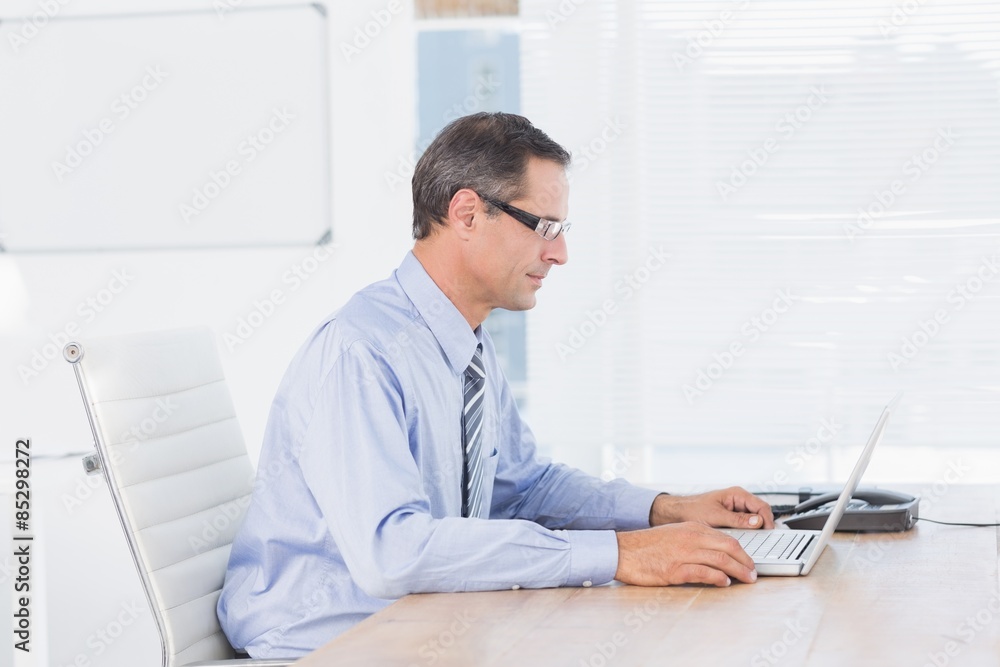 Businessman using his computer Businessman using his computer