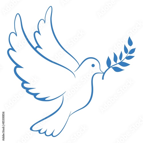 Peace Dove Blue photo