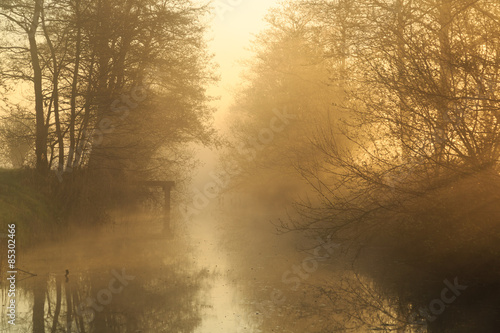 Sunlight shining through the trees along a canal on a foggy, spring morning.