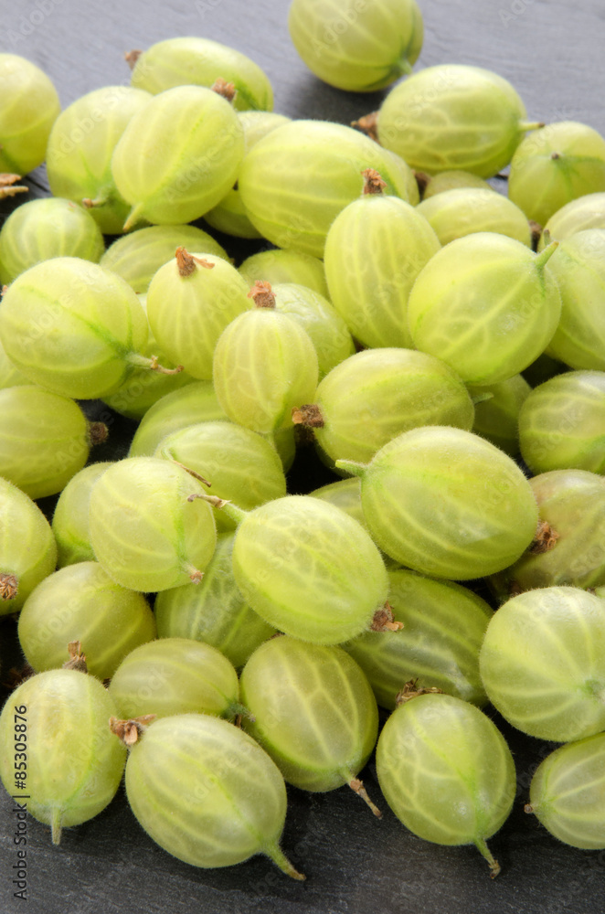 freshly picked gooseberries on slate freshly picked gooseberries on slate