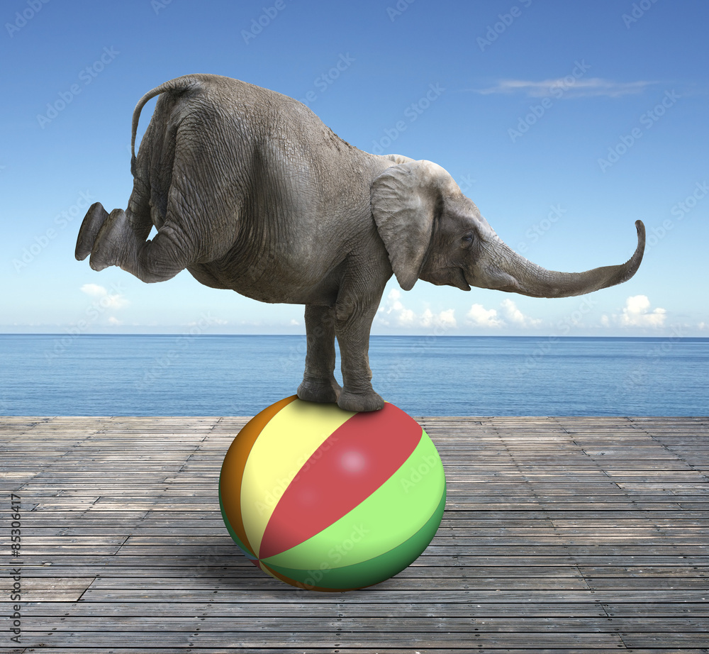Fototapeta premium Elephant balancing on a colorful ball