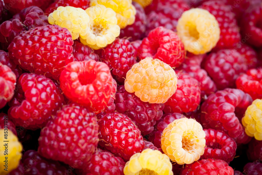Framboises Framboises