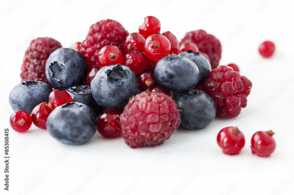 Freshly collecting wild berry fruits Freshly collecting wild berry fruits