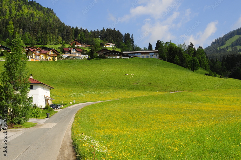 Typical Alps village, Gosau, Austria Typical Alps village, Gosau, Austria