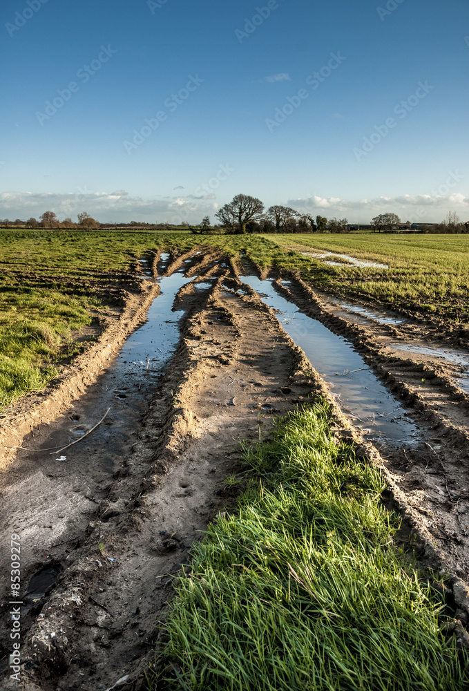 Fototapeta premium Field Tracks