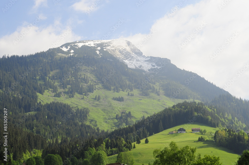 Fototapeta premium Typical Alps village, Gosau, Austria
