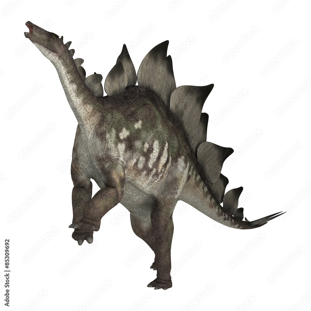 Fototapeta premium Dinosaur Stegosaurus