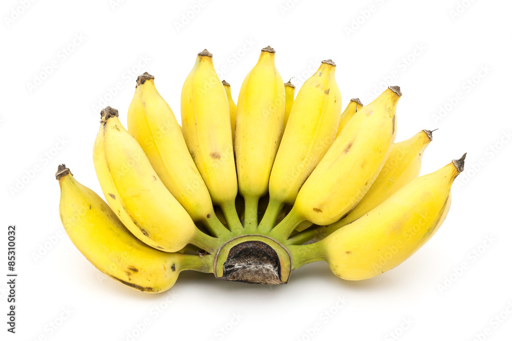 Cultivated banana isolated , Nam-wa variety