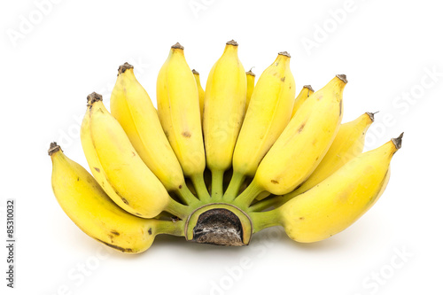 Cultivated banana isolated , Nam-wa variety