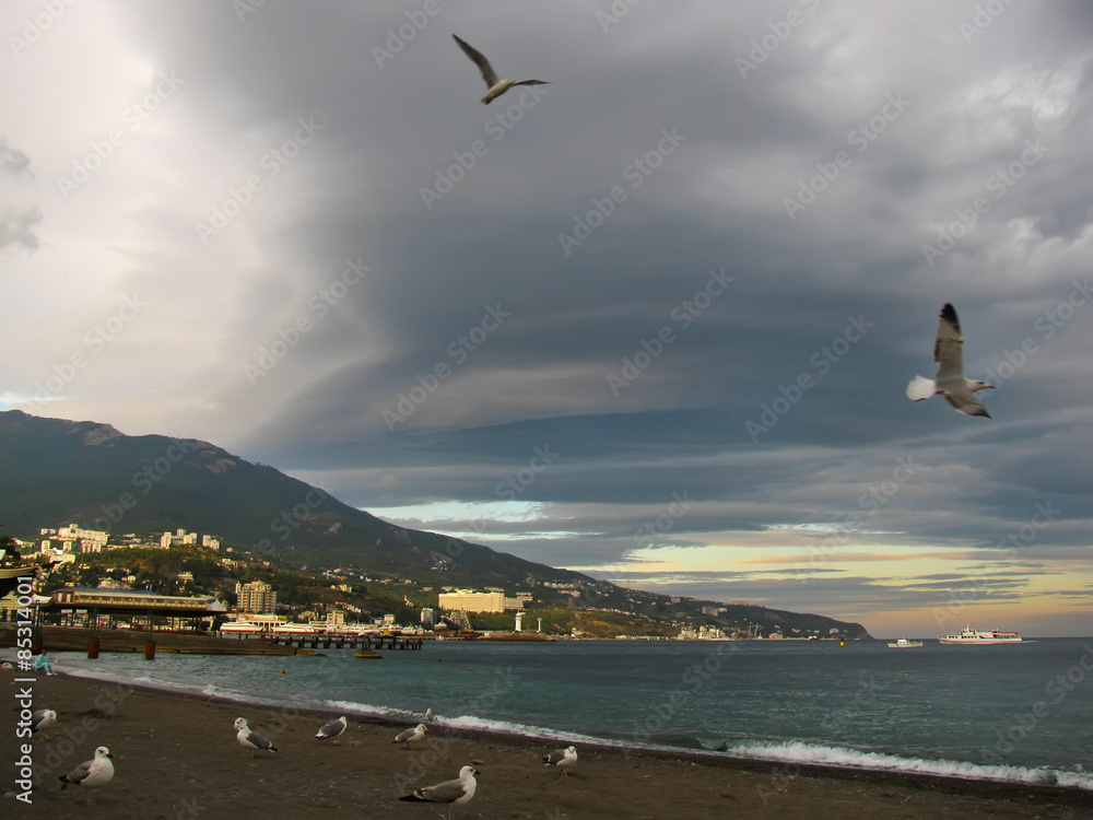 Coastal city beach, gulls and dramatic sky