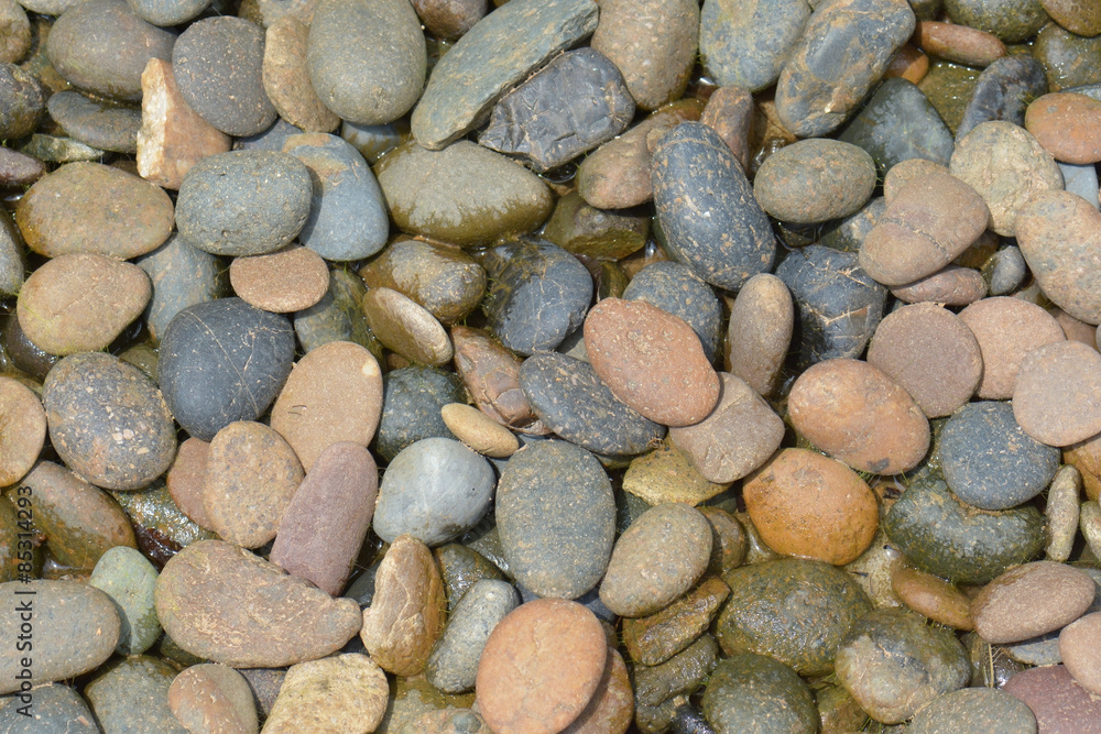 Color pebble stone texture background Color pebble stone texture background