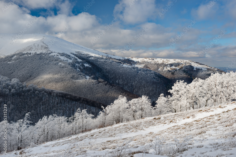 Winter landscape in the mountains, the trees in hoarfrost 