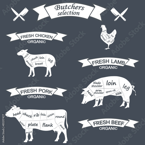 vector diagram cut carcasses of chicken, pig, cow, lamb