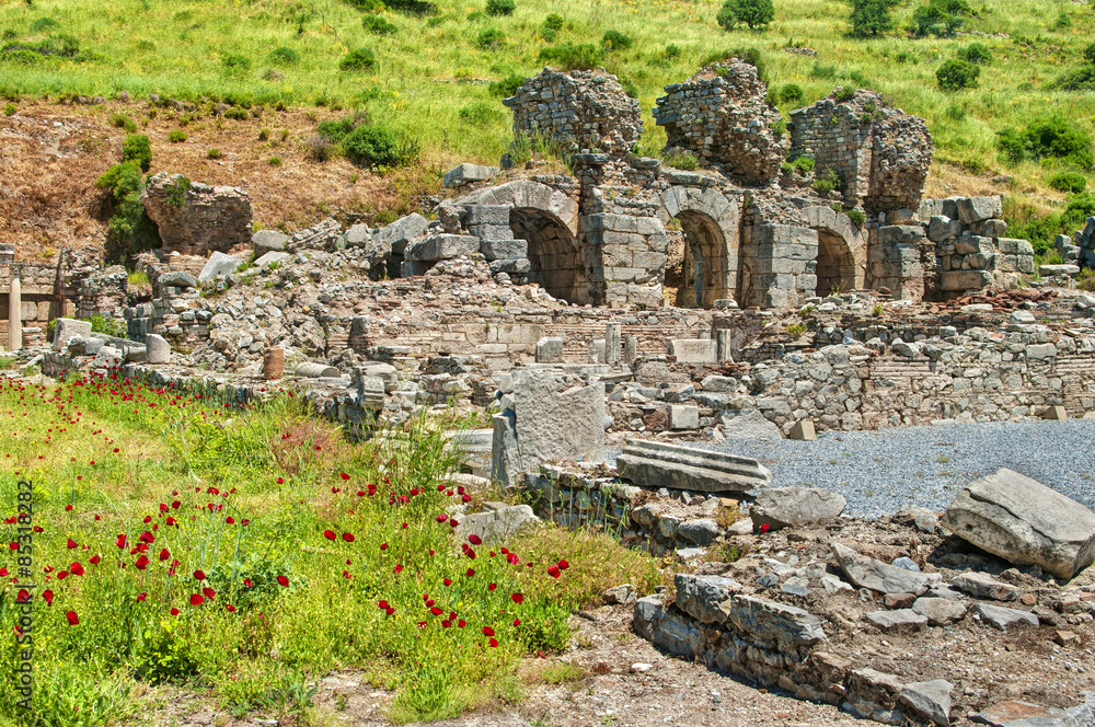 ancient roman ruins of Ephesus with red poppy flowers