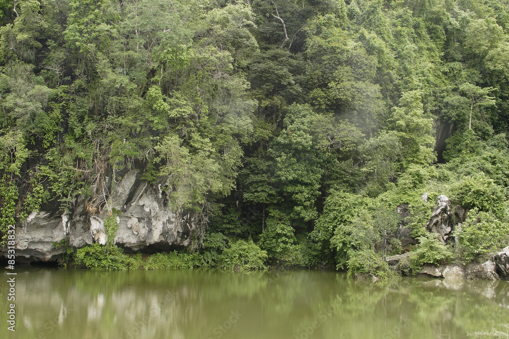 Khao Sok National Park, Surat Thani Province, Thailand