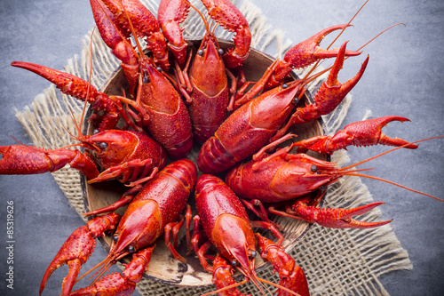 Crayfish. © gitusik