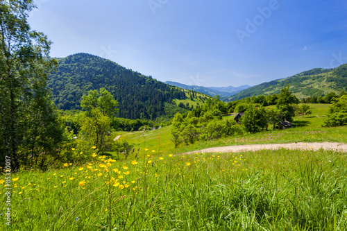 Meadows in the Carpathians