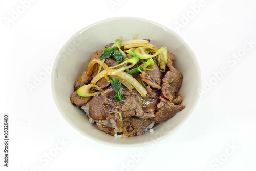gyudon : japanese food with beef and rice isolate on white backg