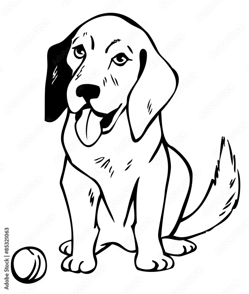 drawing dog with ball drawing dog with ball