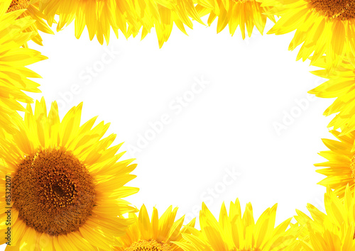 Fototapeta Naklejka Na Ścianę i Meble -  Border with sunflowers
