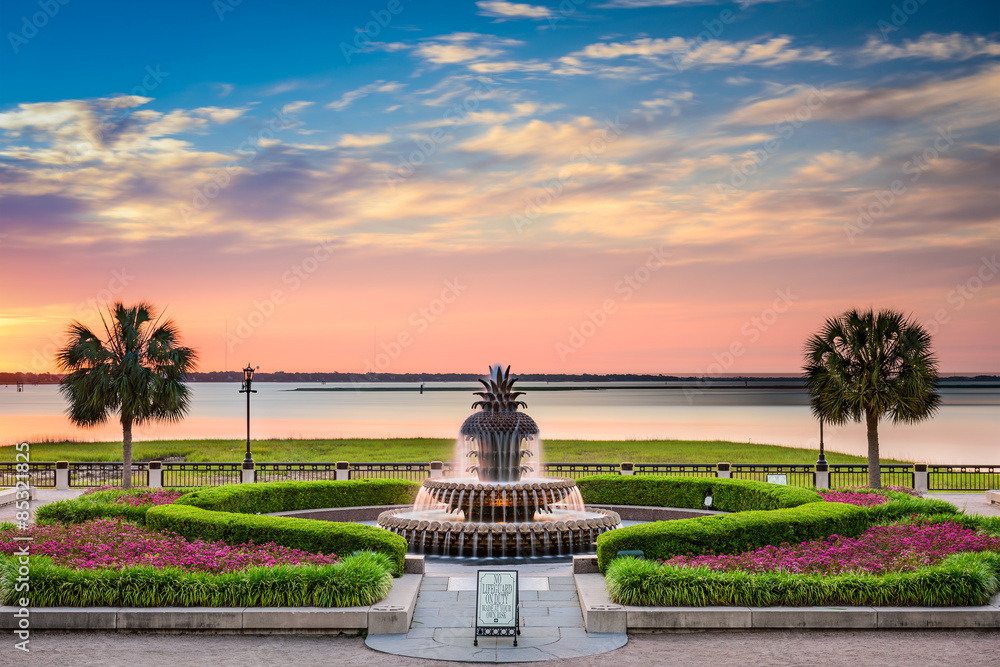 Fototapeta premium Waterfront Park Charleston