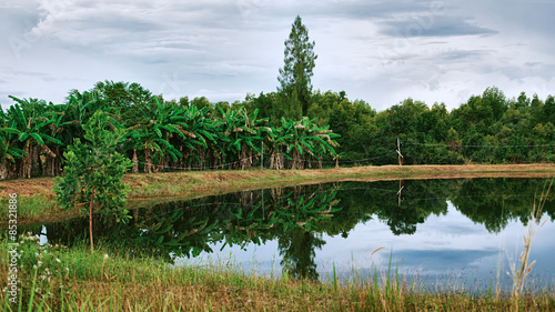 Thai Landscape