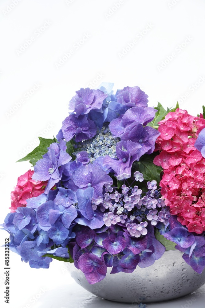アジサイアレンジ Stock Photo Adobe Stock