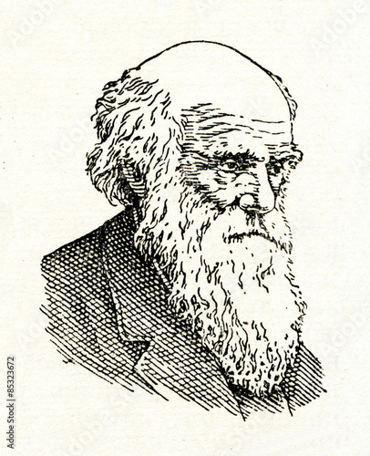 Tela Charles Darwin, English naturalist and geologist