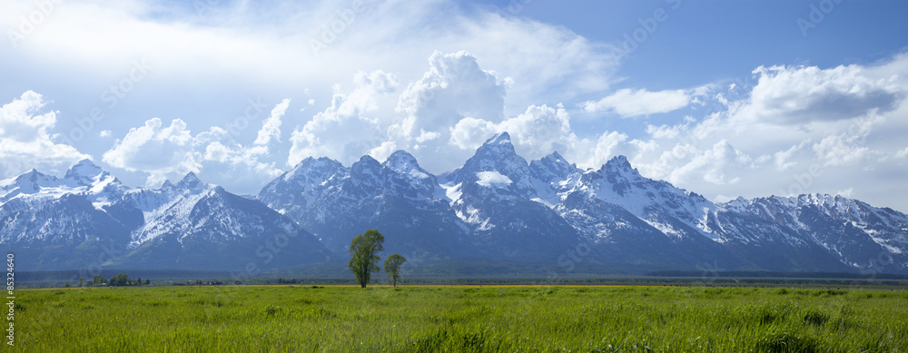 Fototapeta premium Panorama of Grand Teton mountain range in Wyoming