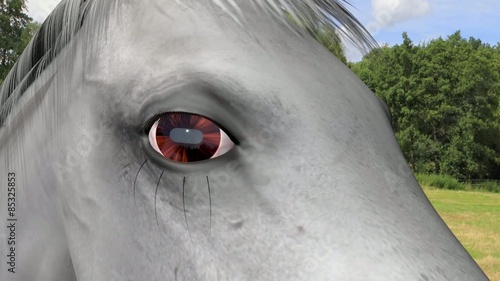 Detailed 3D medical animation showing equine recurrent uveitis.
Part3: closing part with space for titles photo