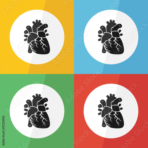 Heart icon ( flat design ) on different color background ( front view ) Use for heart disease ( Ischemic heart disease , Myocardial infarction , Coronary artery disease , Valvular heart disease ,etc )