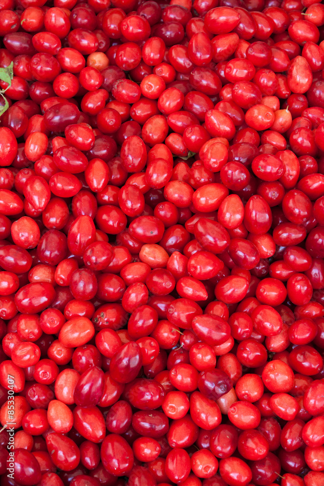 pile of cornelian cherry pile of cornelian cherry