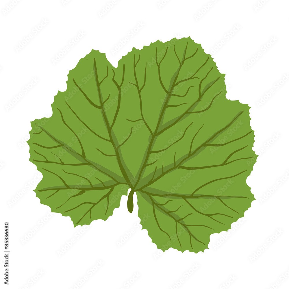 Fototapeta premium Green leaf of plant, vector illustration