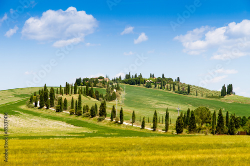 Fields in Tuscany, Italy