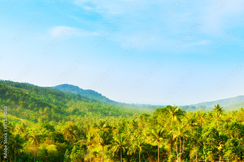 Beautiful Tropic Landscape