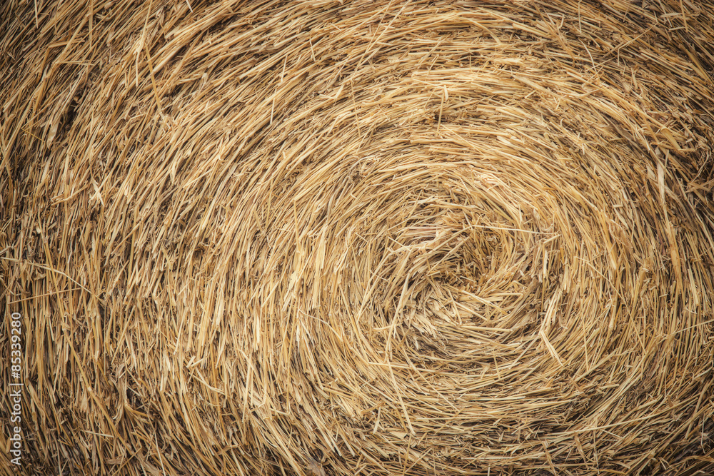 Background with detail of roll of straw Background with detail of roll of straw
