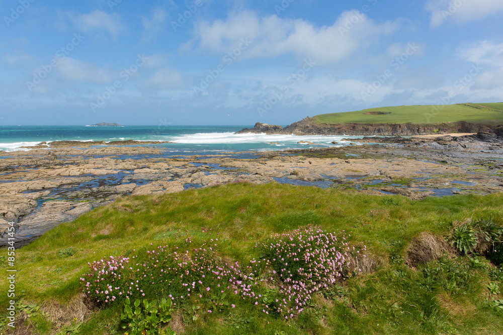 Newtrain Bay North Cornwall near Padstow and Newquay UK
Newtrain Bay North Cornwall near Padstow and Newquay UK