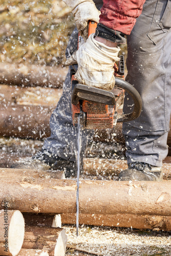 Germany, Muehlenbach, logger sawing tree trunk with motor saw