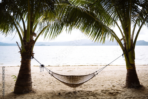 Philippines, Palawan, hammock and palms on a beach near El Nido #85343672