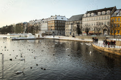 Winter scene by a lake in Copenhagen