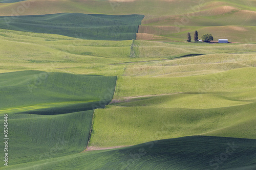 USA, Idaho, Palouse, view to rolling landscape with wheat fields from Steptoe Butte #85345446