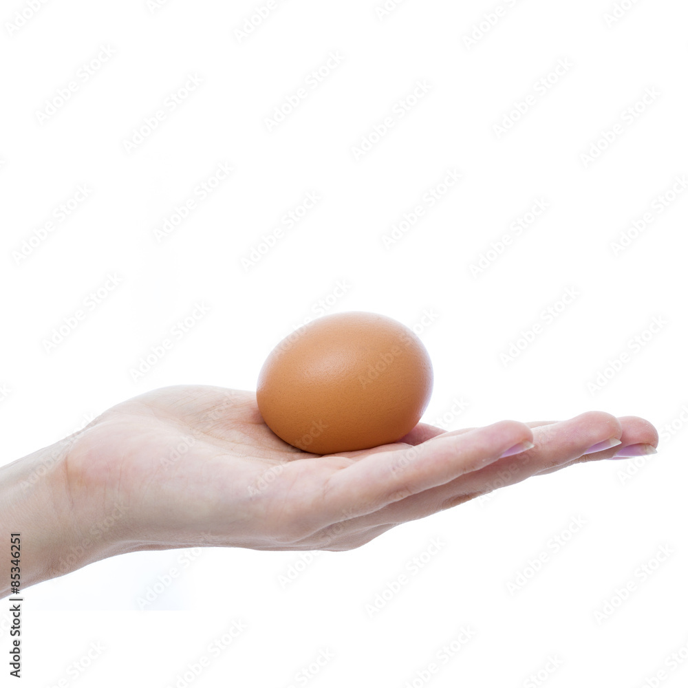 Female hand with a brown chicken egg Female hand with a brown chicken egg