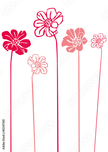 Flores rosas