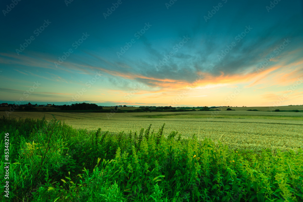 Beautiful sunset on a spring field